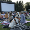 The Dos and Don'ts of Bringing Pets to Outdoor Music Events in King County, Washington