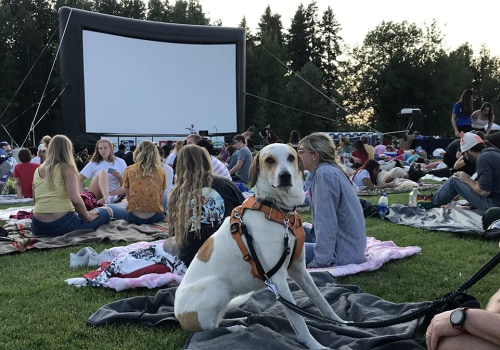 The Dos and Don'ts of Bringing Pets to Outdoor Music Events in King County, Washington